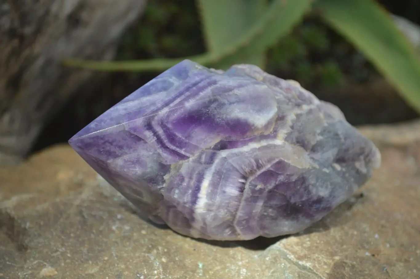 Polished "Witches Hat" Chevron Amethyst Crystals x 4 From Madagascar