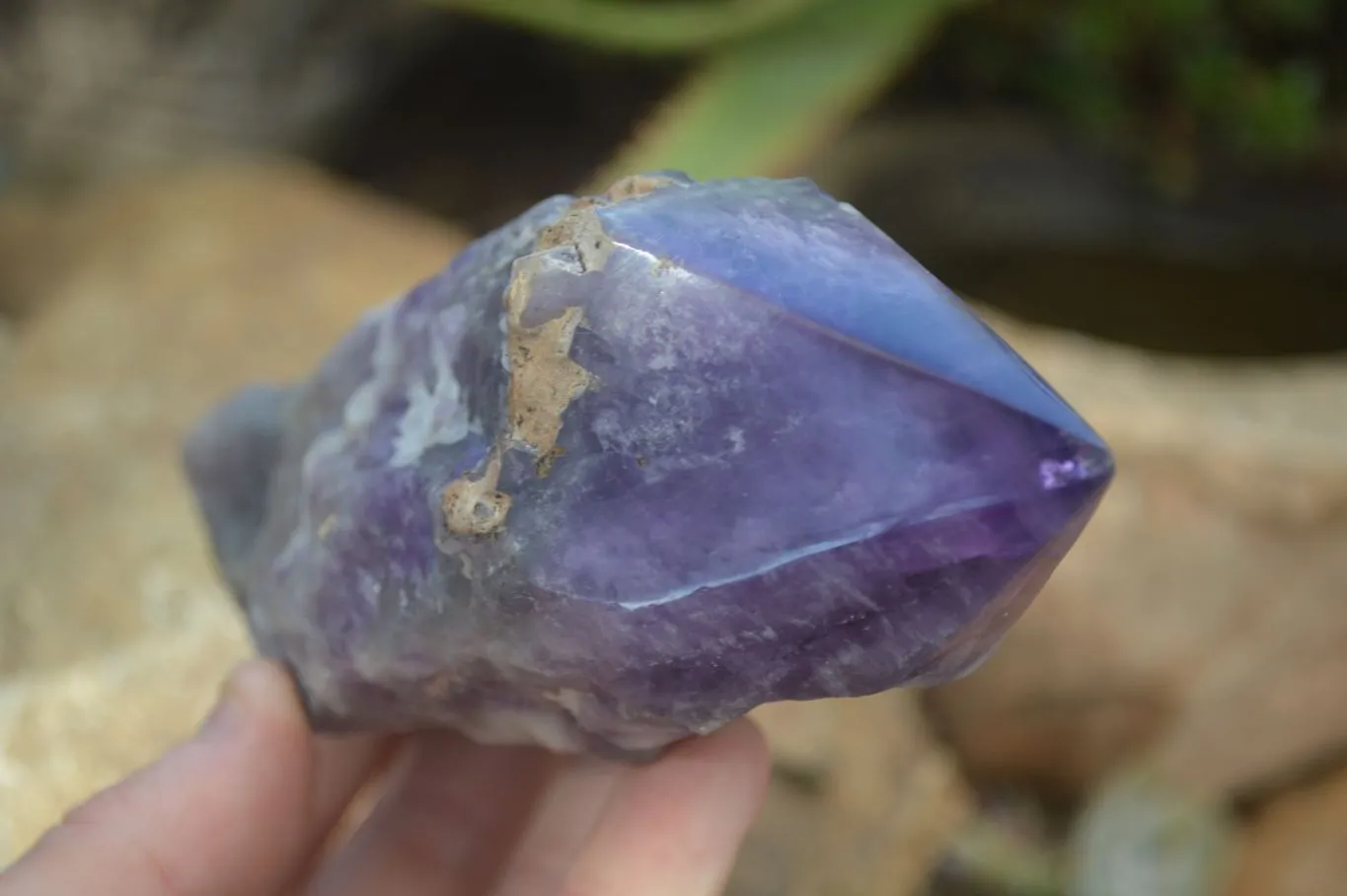Polished "Witches Hat" Chevron Amethyst Crystals x 4 From Madagascar