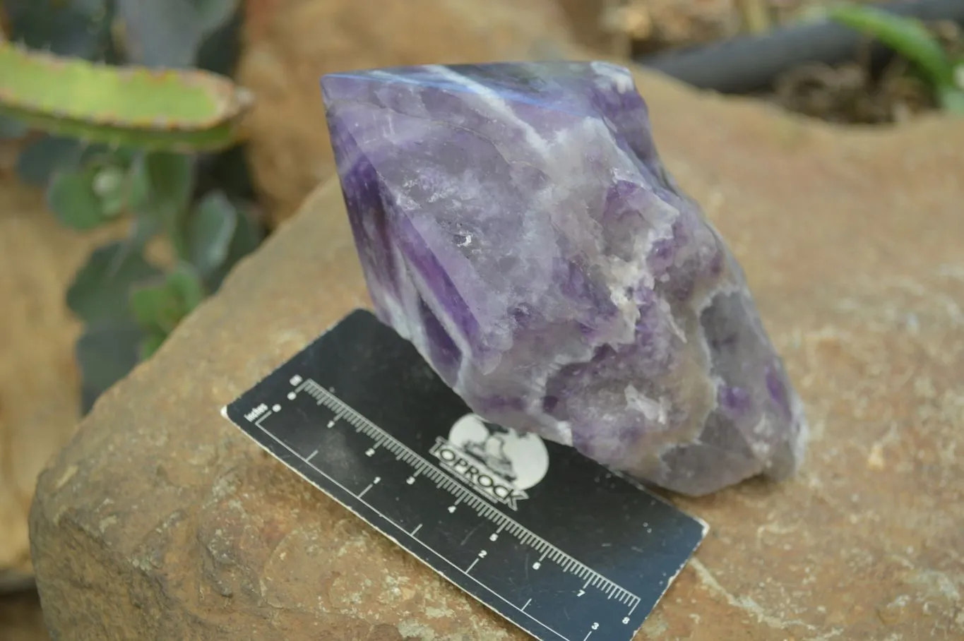 Polished "Witches Hat" Chevron Amethyst Crystals x 4 From Madagascar
